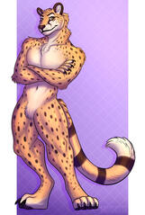 Cheetah-wolf fullbody